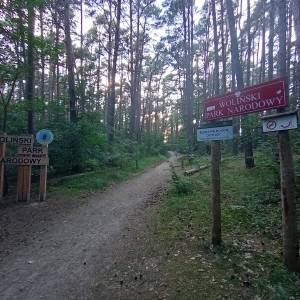 Parking leśny przy plaży Świętouść - parking przy plazy swietousc 1