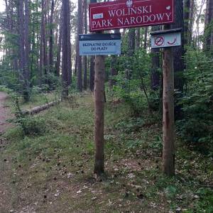 Parking leśny przy plaży Świętouść - parking przy plazy swietousc 13