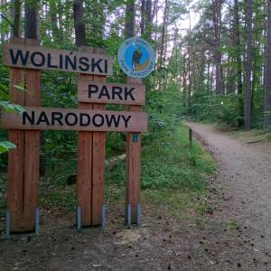 Parking leśny przy plaży Świętouść - parking przy plazy swietousc 14