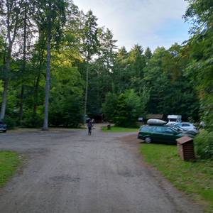 Parking leśny przy plaży Świętouść - parking przy plazy swietousc 3