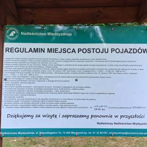 Parking leśny przy plaży Świętouść - parking przy plazy swietousc 7