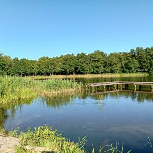 Plaża nad Jeziorem Kołczewo - plaza nad jeziorem kolczewo 4