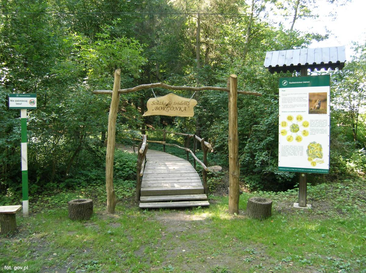 Ścieżka edukacyjna Źródełko Borgońka - sciezka edukacyjna zrodelko borgonka 1