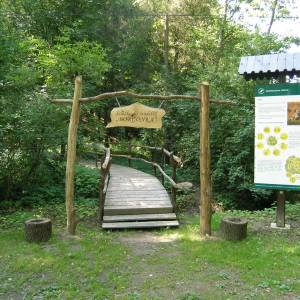 Źródełko Borgońka - zrodelko borgonka 2