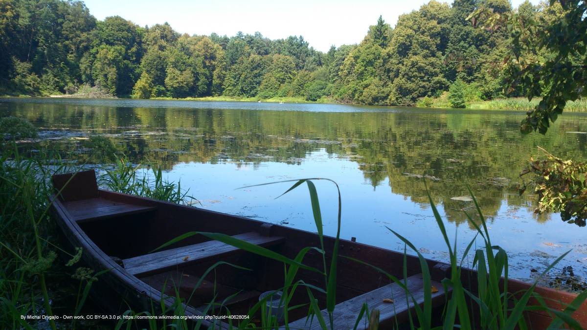 Jezioro Wigry - 20130817 135410 android