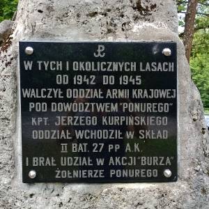 Parking "Źródła Zygmunta i Elżbiety" - parking zrodla zygmunta i elzbiety 7
