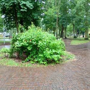 Bałtycki Park Edukacyjny w Międzywodziu - park w miedzywodziu 5
