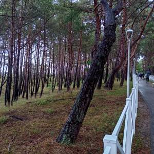Promenada w Międzywodziu - promenada w miedzywodziu 10