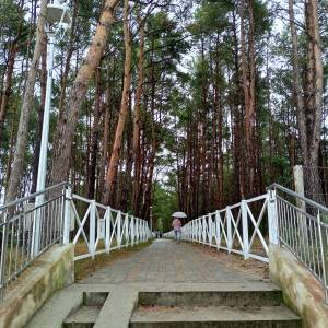 Promenada w Międzywodziu - promenada w miedzywodziu 14