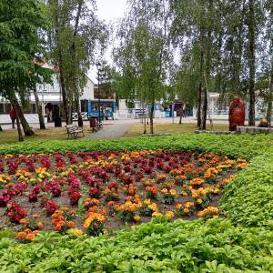 Park w Międzywodziu - park w miedzywodziu 1