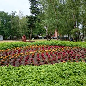 Park w Międzywodziu - park w miedzywodziu 2