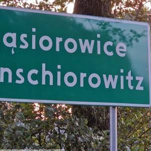 Murale i deskale w Gąsiorowicach - murale i deskale w gasiorowicach 6
