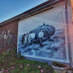 Murale i deskale w Gąsiorowicach - murale i deskale w gasiorowicach 9