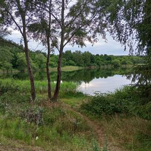 Jezioro Rzecze - jezioro rzecze 1