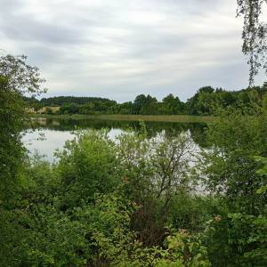 Jezioro Rzecze - jezioro rzecze 2