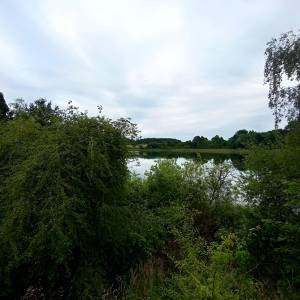 Jezioro Rzecze - jezioro rzecze 3