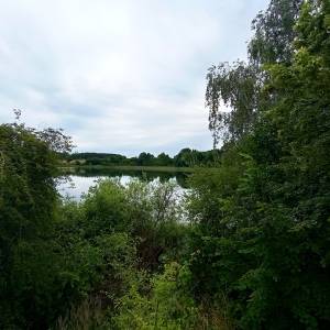 Jezioro Rzecze - jezioro rzecze 4
