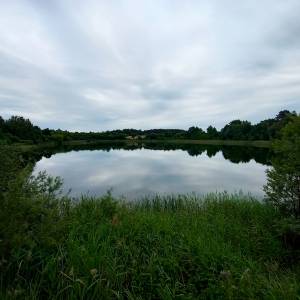Jezioro Rzecze - jezioro rzecze 5