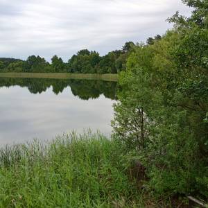 Jezioro Rzecze - jezioro rzecze 7