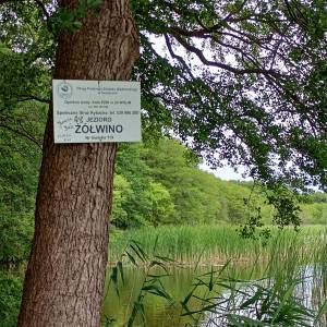 Plaża nad Jeziorem Żółwino - plaza nad jeziorem zolwino 13