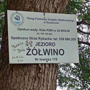 Plaża nad Jeziorem Żółwino - plaza nad jeziorem zolwino 14
