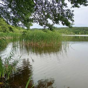 Plaża nad Jeziorem Żółwino - plaza nad jeziorem zolwino 16