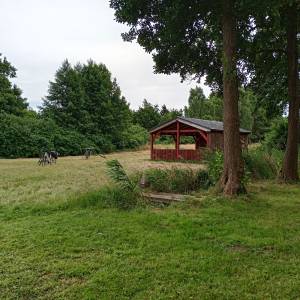 Plaża nad Jeziorem Żółwino - plaza nad jeziorem zolwino 17
