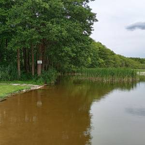 Plaża nad Jeziorem Żółwino - plaza nad jeziorem zolwino 5