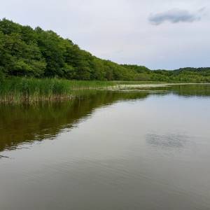 Plaża nad Jeziorem Żółwino - plaza nad jeziorem zolwino 8