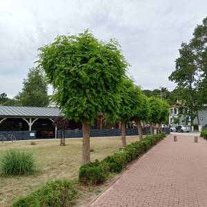 Plac Neptuna w Wisełce - plac neptuna w wiselce 6