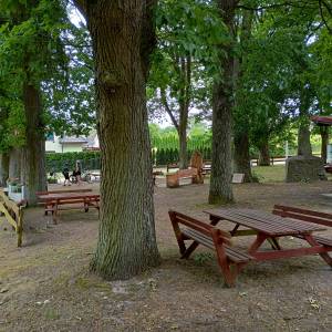 Park zdrojowy w Warnowie - park zdrojowy w warnowie 1