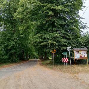 Park zdrojowy w Warnowie - park zdrojowy w warnowie 4