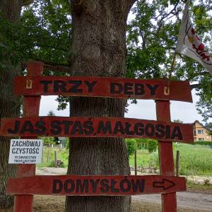 Trzy Dęby w Warnowie - trzy deby w warnowie 5