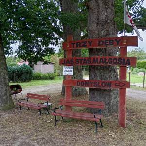 Trzy Dęby w Warnowie - trzy deby w warnowie 6