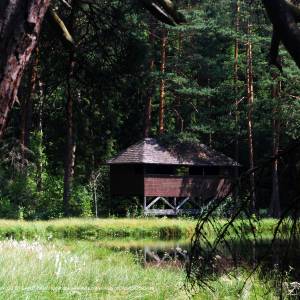 Szlak "Nad sucharami" - wigierski suchary 4 widok na budke