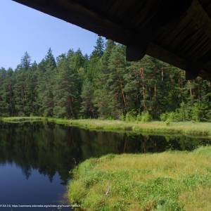 Szlak "Nad sucharami" - wigierski suchary 4 widok z budki