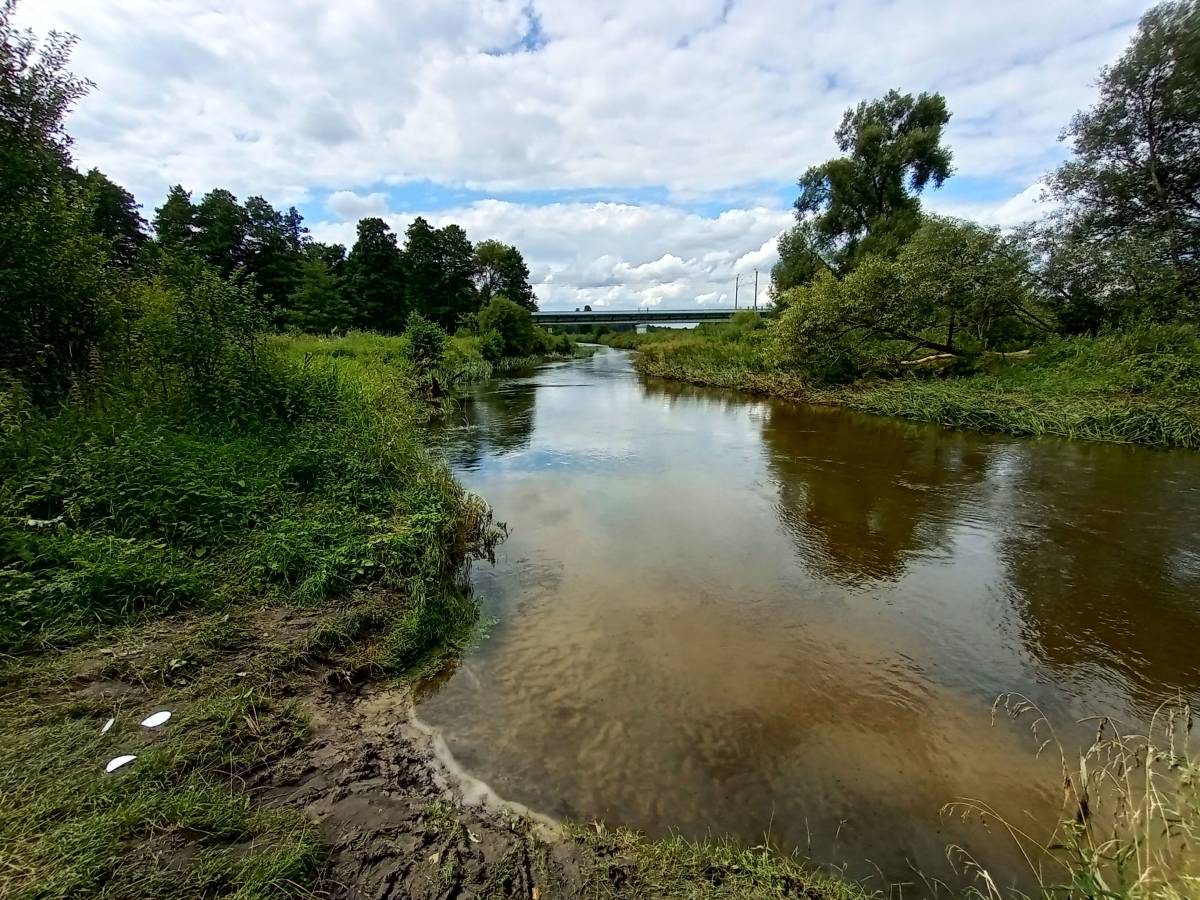 Przystań Przyłęk - Łąkietka Spalony Młyn - przystan przylek lakietka spalony mlyn 32