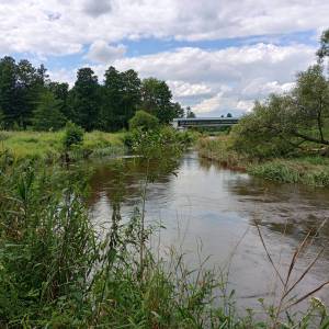 Przystań Przyłęk - Łąkietka Spalony Młyn - przystan przylek lakietka spalony mlyn 37