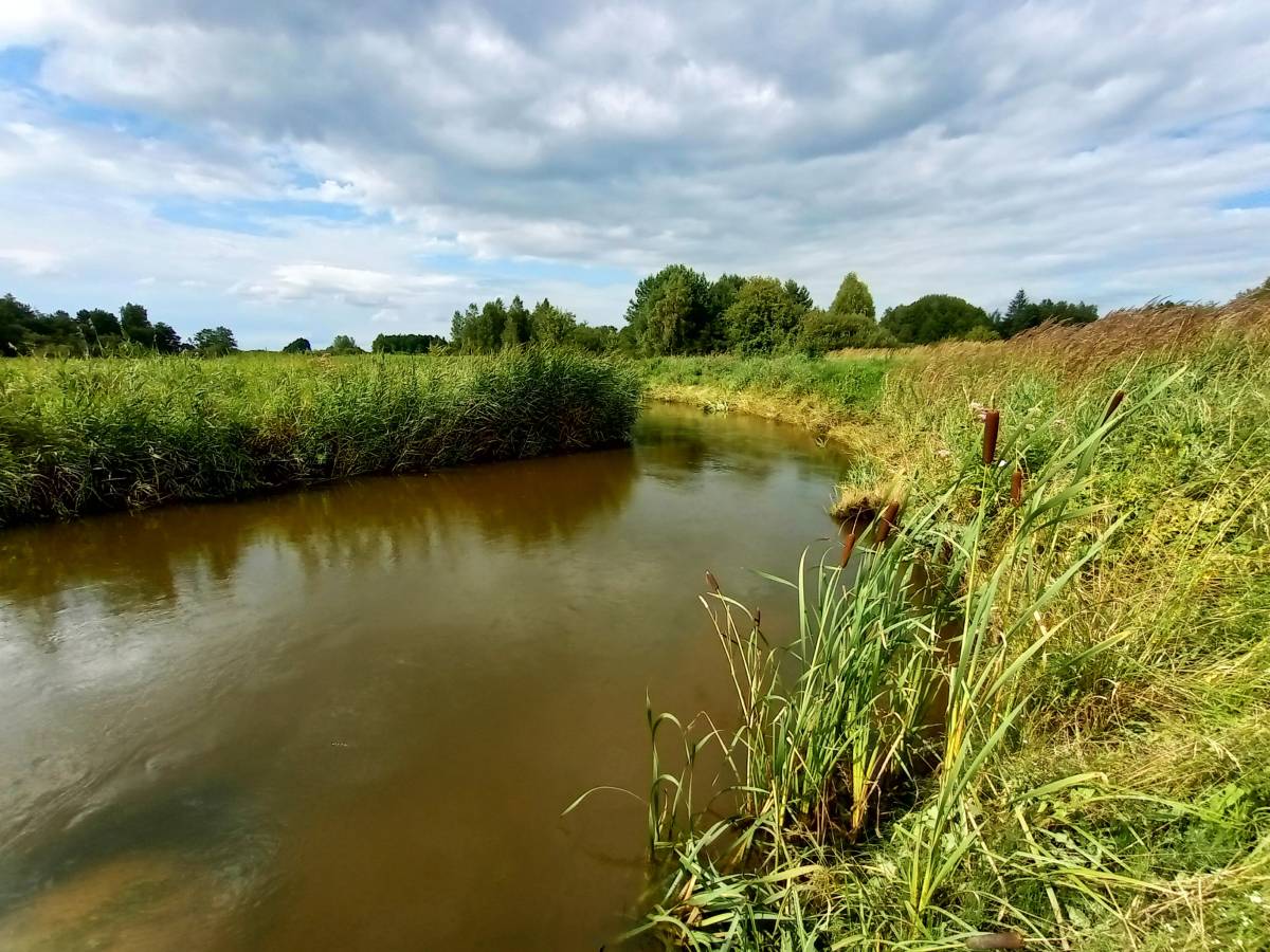 Przystań kajakowa w Łysakowie - przystan kajakowa w lysakowie 12