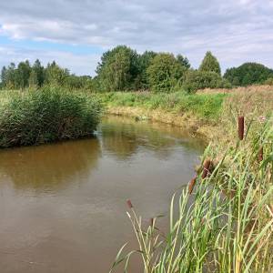 Przystań kajakowa w Łysakowie - przystan kajakowa w lysakowie 11