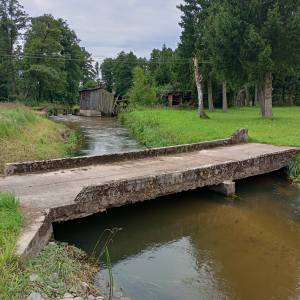 Ruiny młyna wodnego w Wąsoszu - ruiny mlyna wodnego w wasoszu 25