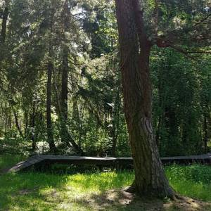 Plaża Piaski - plaza piaski4