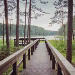 Platforma widokowa Słupie III - platforma widokowa slupie iii 4