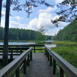 Platforma widokowa Słupie III - platforma widokowa slupie iii 5