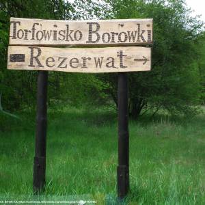 Przemkowski Park Krajobrazowy - przemkowski park krajobrazowy 2