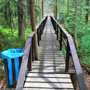 Przemkowski Park Krajobrazowy - przemkowski park krajobrazowy 4