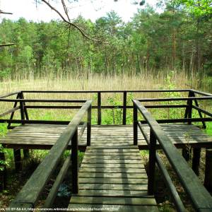 Przemkowski Park Krajobrazowy - przemkowski park krajobrazowy 5