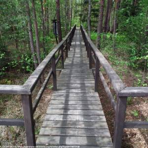 Przemkowski Park Krajobrazowy - przemkowski park krajobrazowy 6