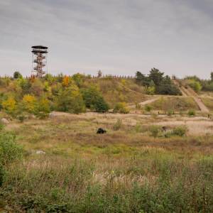 Wieża widokowa Paprotnia - wieza widokowa paprotnia 7