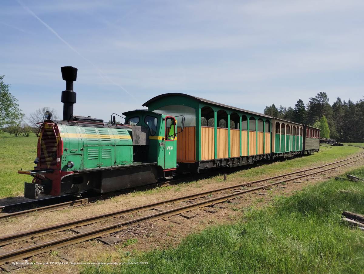 Wigierska Kolej Wąskotorowa - wkw 2024 105558596